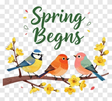 Spring Begins With Birds And Flowers PNG