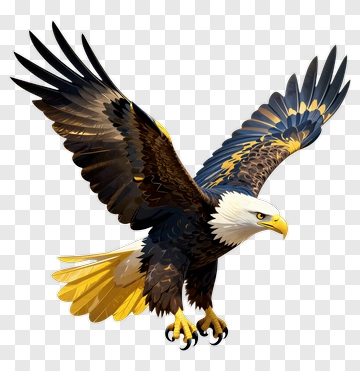 Bald Eagle In Flight PNG