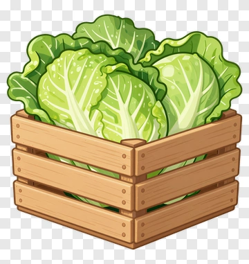 Fresh Cabbage In Wooden Crate PNG