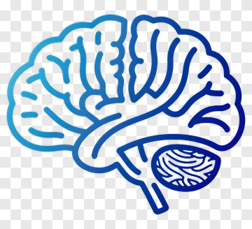 Blue Brain Outline PNG