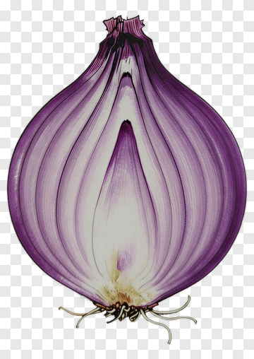 Purple Onion Illustration PNG