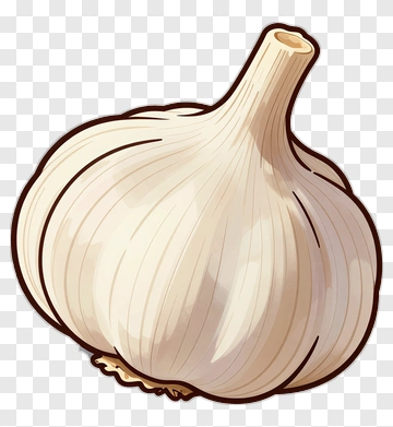 Garlic PNG