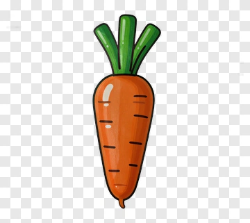 Hand-drawn Carrot Illustration PNG