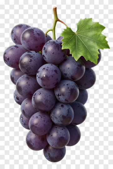 Cluster Of Ripe Purple Grapes With Leaf PNG
