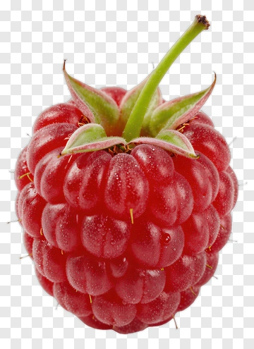 Raspberry With Green Stem PNG