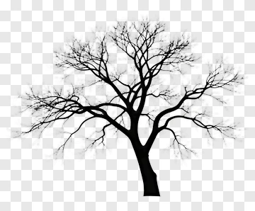 Silhouette Of A Tree PNG