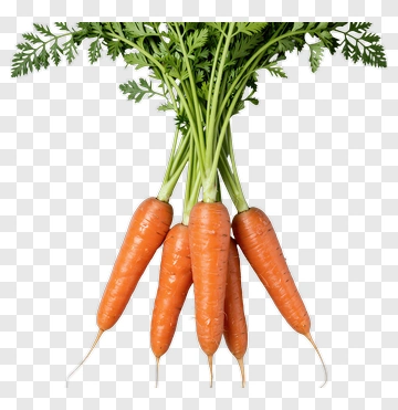 Fresh Carrots With Green Tops PNG
