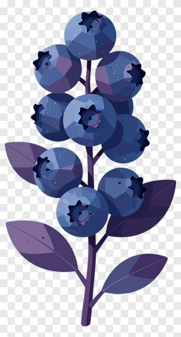 Blueberry Cluster With Leaves PNG