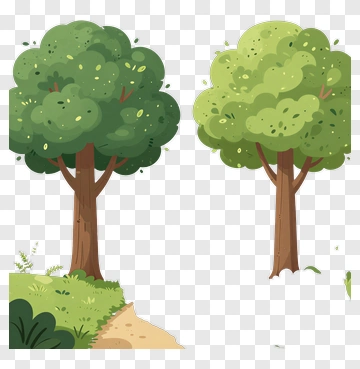 Two Trees Flanking A Path PNG