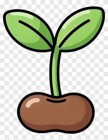 Cartoon Seedling Growing From Bean PNG