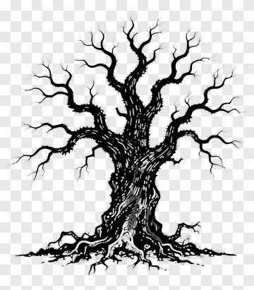 Bare Tree Silhouette PNG