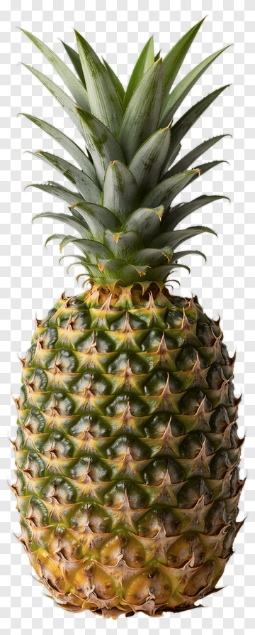 Fresh Pineapple PNG
