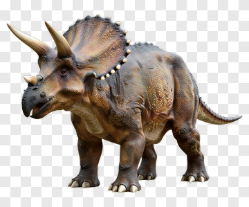 Triceratops With Horns And Frill PNG