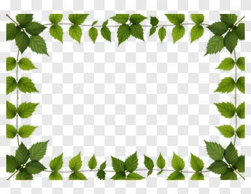 Green Leaf Border PNG