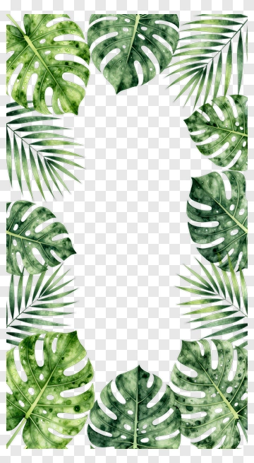 Tropical Leaf Border Design PNG