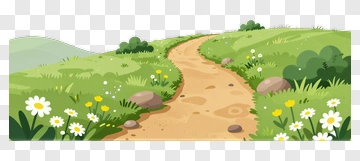 Nature Path Through Meadow PNG