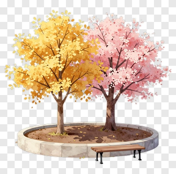 Yellow And Pink Trees With Bench PNG