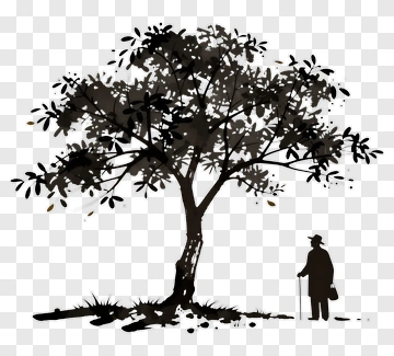 Silhouetted Tree And Person PNG