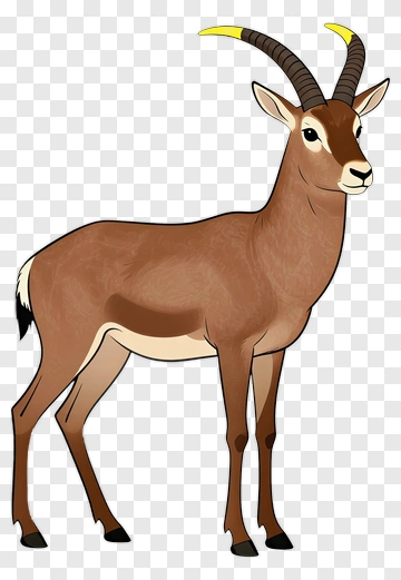 Cartoon Antelope PNG