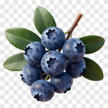 Cluster Of Blueberries With Leaves PNG