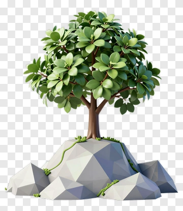 Tree Growing On Rock PNG