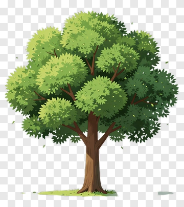Cartoon Tree With Green Leaves PNG