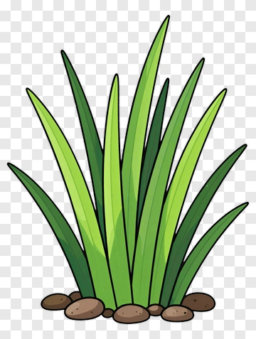 Cartoon Grass With Stones PNG