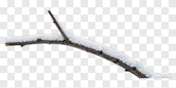Snow Covered Branch PNG