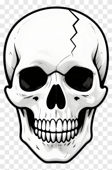 Skull PNG