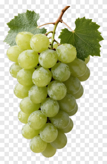 Fresh Green Grape Cluster PNG