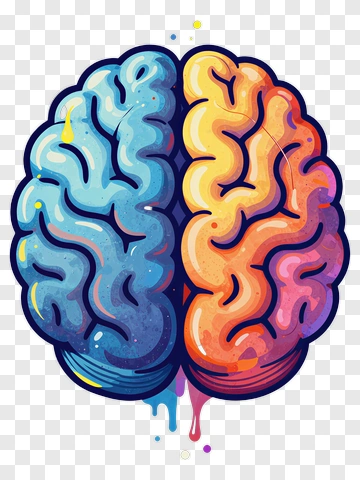 Split Brain Illustration PNG