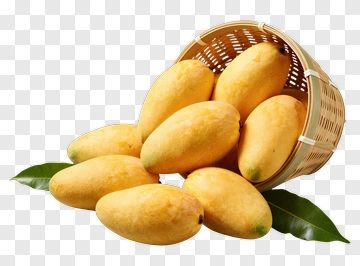 Fresh Mangoes In A Basket PNG
