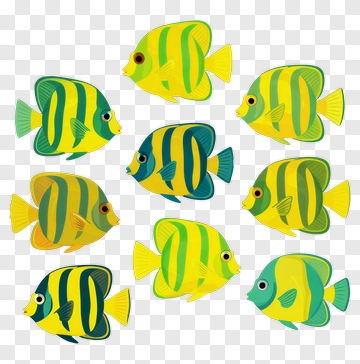 Striped Tropical Fish PNG