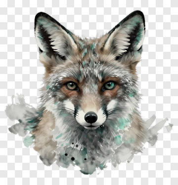 Fox Portrait Watercolor Style PNG
