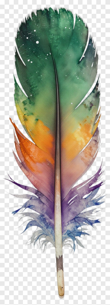 Colorful Watercolor Feather PNG