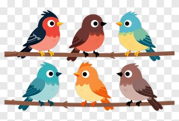 Six Colorful Cartoon Birds On A Branch PNG