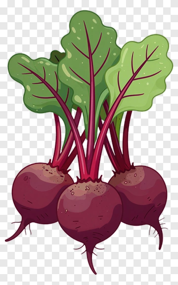 Beetroot With Leafy Greens PNG