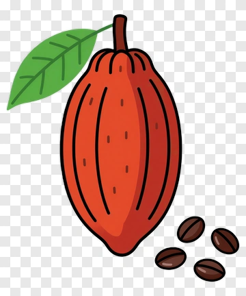 Cocoa Pod With Beans And Leaf PNG