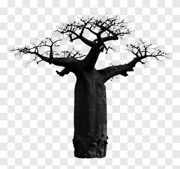 Baobab Tree Silhouette PNG