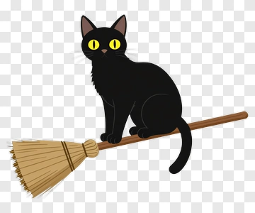 Black Cat On Broom PNG