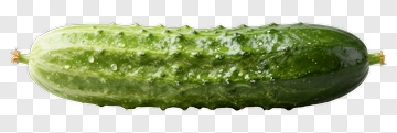 Fresh Cucumber With Water Droplets PNG