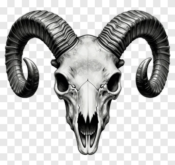 Ram Skull PNG