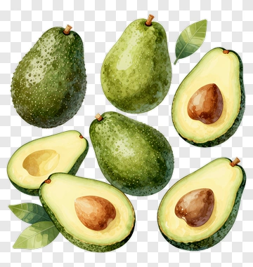 Fresh Avocado With Leaf And Pit PNG