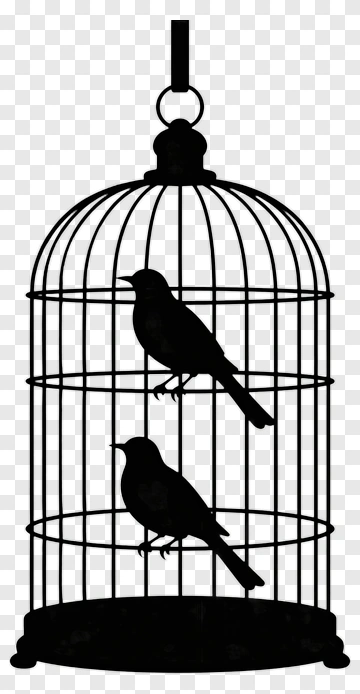 Birds In A Cage PNG