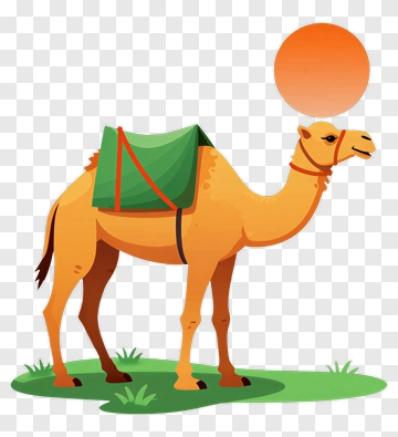 Camel With Saddle Under Sun PNG
