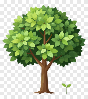 Tree And Sapling PNG