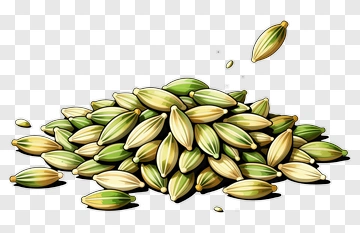 Fennel Seed PNG