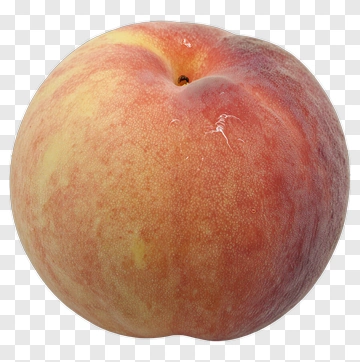 Ripe Peach PNG