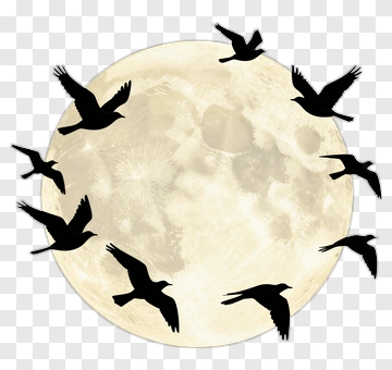 Moon With Silhouetted Birds PNG