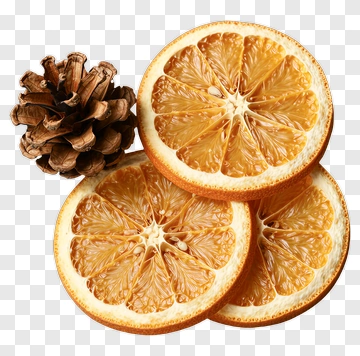 Dried Orange Slices With Pinecone PNG